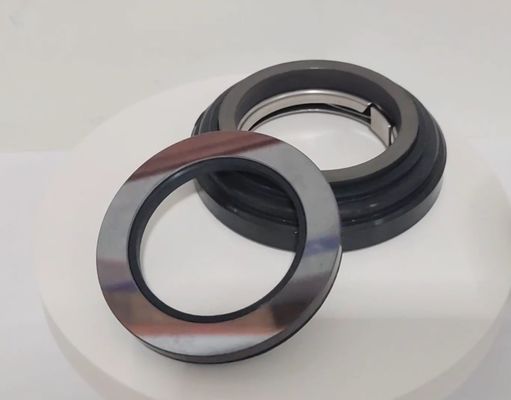 Accel Seal Ax5 or Ax05 Washing Machinanical Seal for Guilliver Counterface Gcs Gulliver Grandimpianti