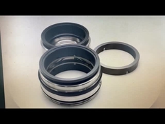 GLRD FDS2 BCH-045 SIC-SIC-HNBR/C-TC-HNBR para Fristam