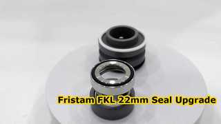 Veja por que escolher o selo mecânico 22MM de SIC SIC FKM adequado para a bomba Fristam FKL